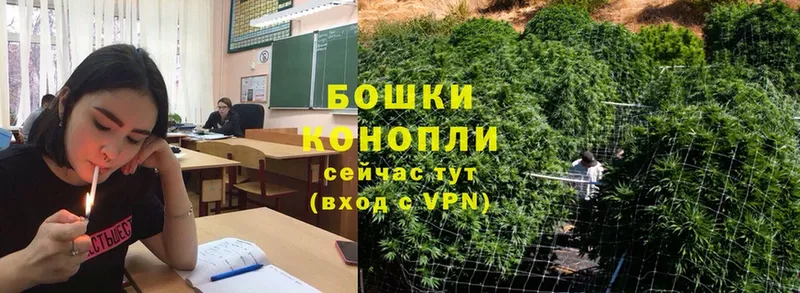 Канабис White Widow  купить закладку  Ковдор 